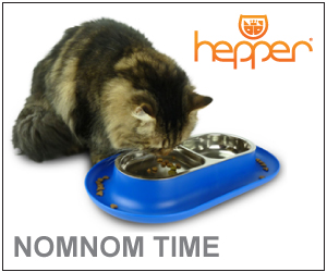 Hepper Pod Bed
