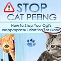 Stop Cat Peeing