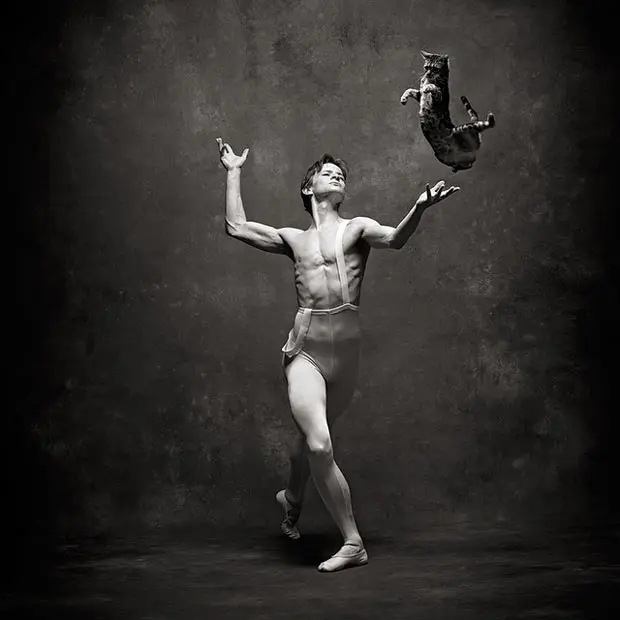 Pas de Chat, Daniil Simkin and Lilly the bengal cat