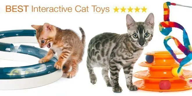Kitty Cat Spring Play Toy With Mouse Brand New Wood Carpet