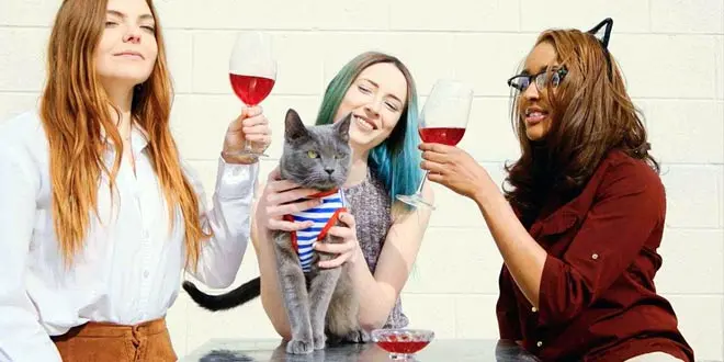 Pinot Meow Cat Wine