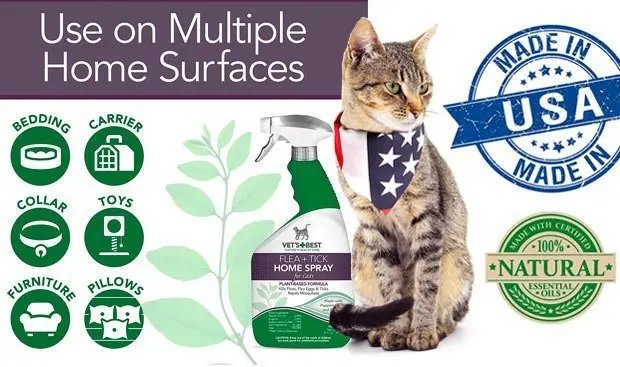 Cat Flea Spray