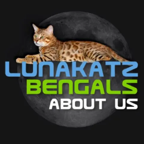 Lunakatz Bengals Lunakatz Bengals