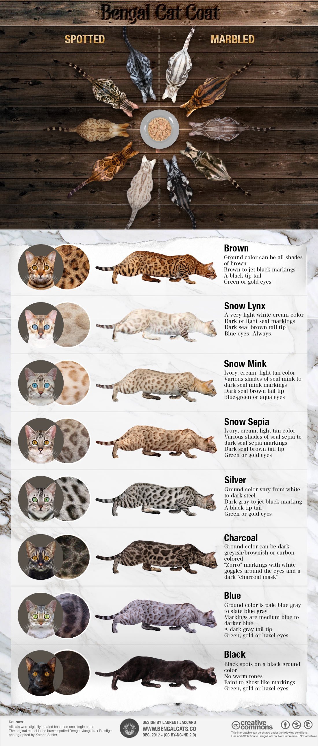 Cat Fur Patterns Chart