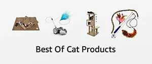 Best cat products